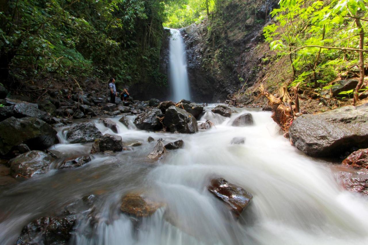 Bali Munduk Delux Bungalow Villa Singaraja Dış mekan fotoğraf