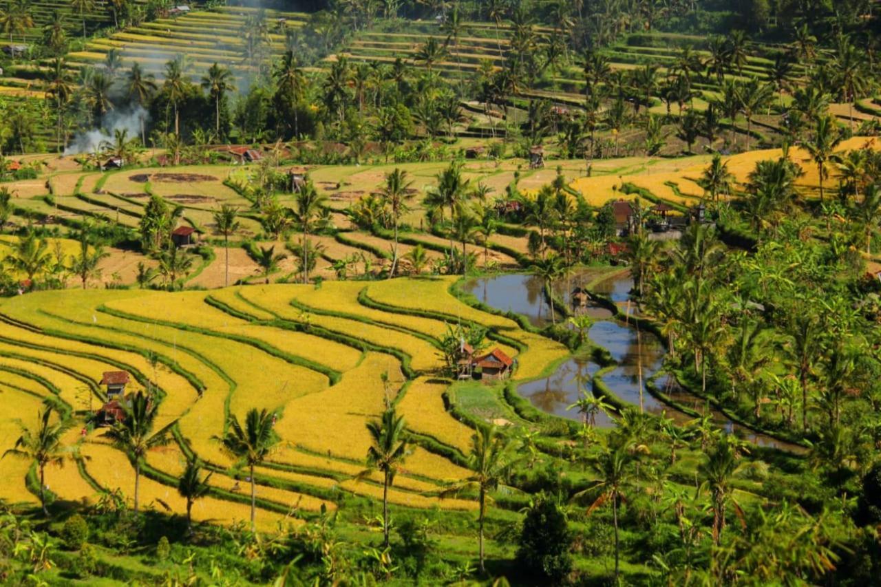 Bali Munduk Delux Bungalow Villa Singaraja Dış mekan fotoğraf