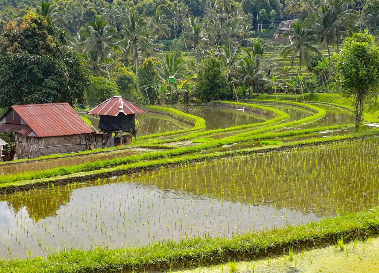 Bali Munduk Delux Bungalow Villa Singaraja Dış mekan fotoğraf