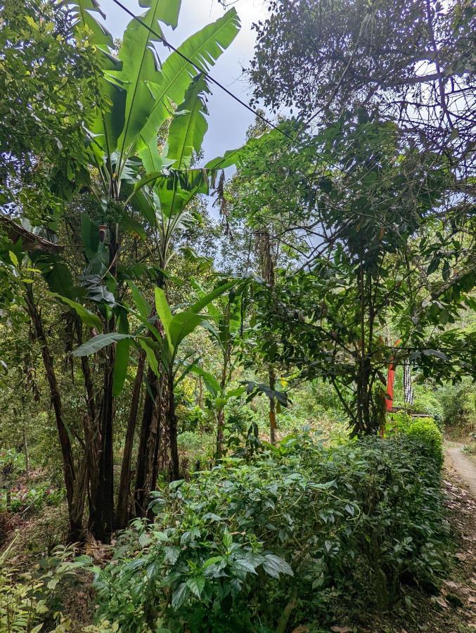 Bali Munduk Delux Bungalow Villa Singaraja Dış mekan fotoğraf