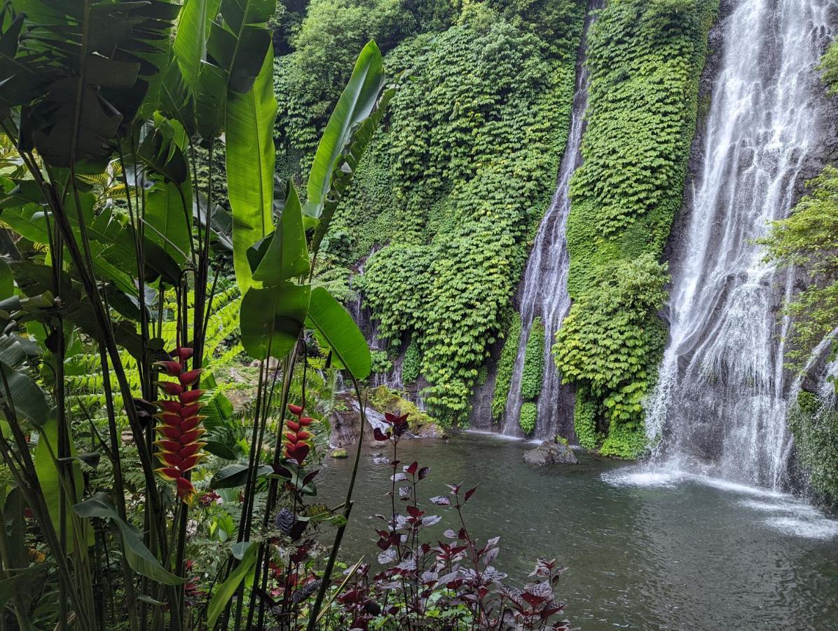 Bali Munduk Delux Bungalow Villa Singaraja Dış mekan fotoğraf