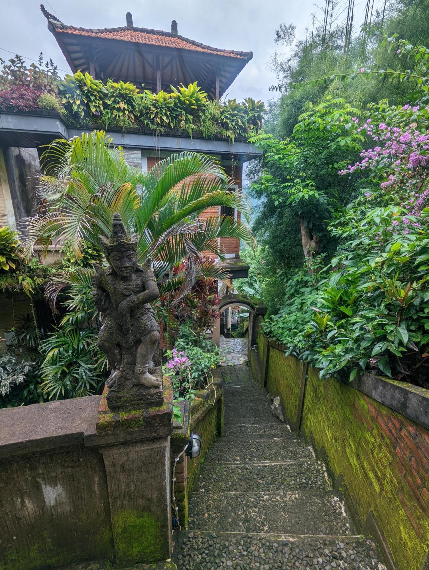 Bali Munduk Delux Bungalow Villa Singaraja Dış mekan fotoğraf