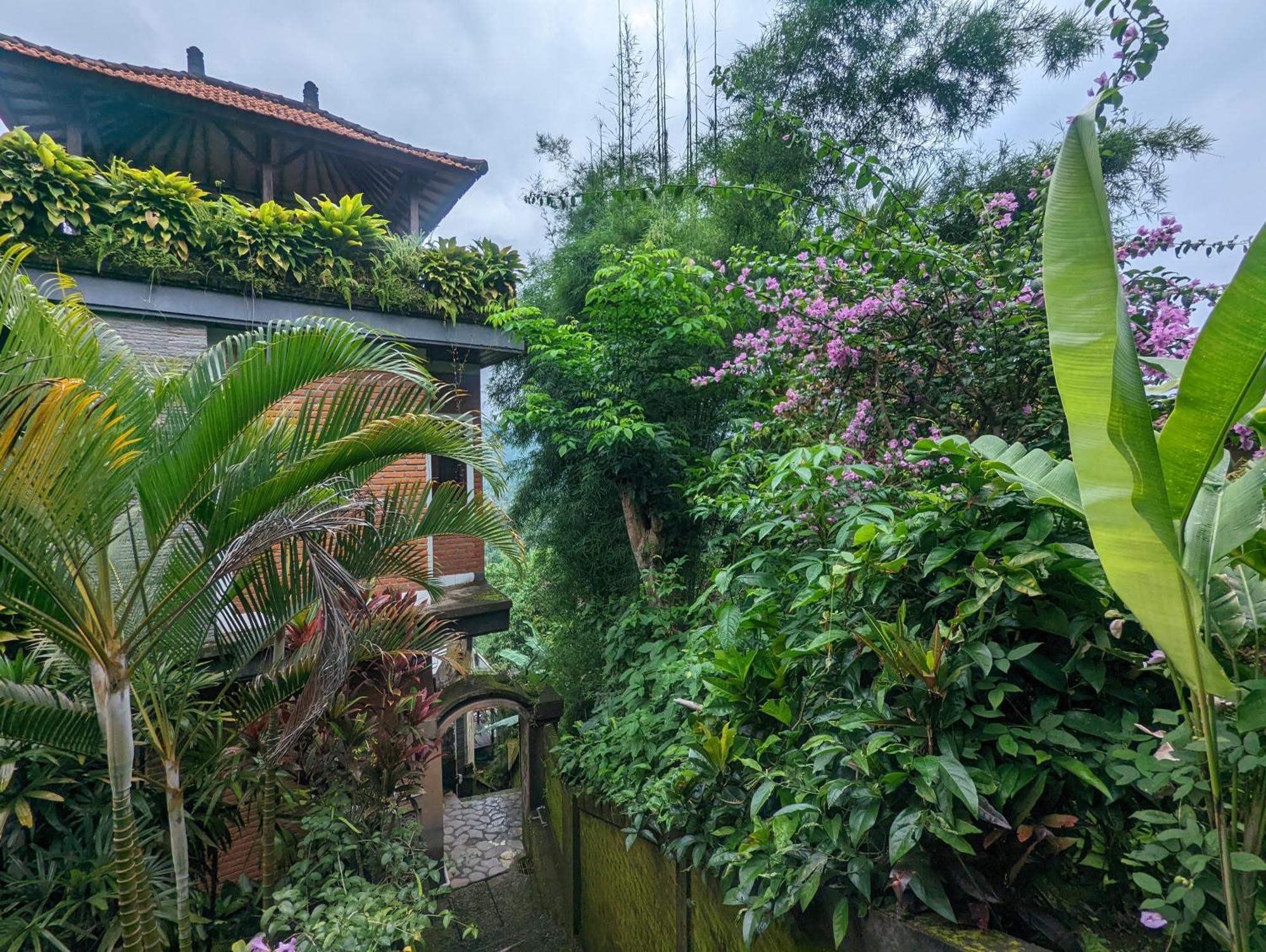 Bali Munduk Delux Bungalow Villa Singaraja Dış mekan fotoğraf