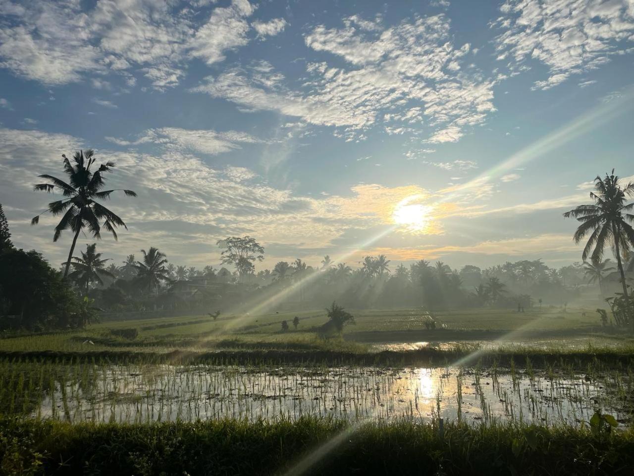 Bali Munduk Delux Bungalow Villa Singaraja Dış mekan fotoğraf